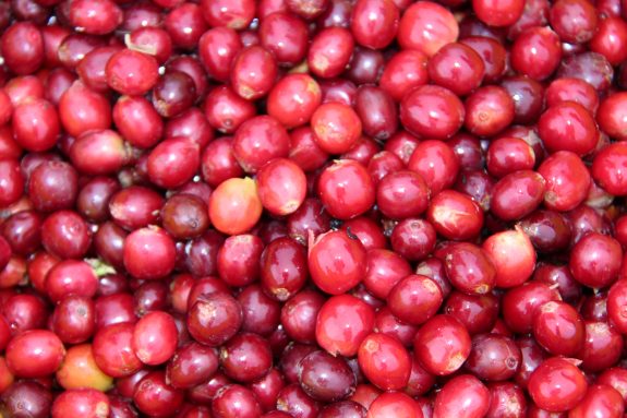 Producción de café de Colombia cae 15% en octubre